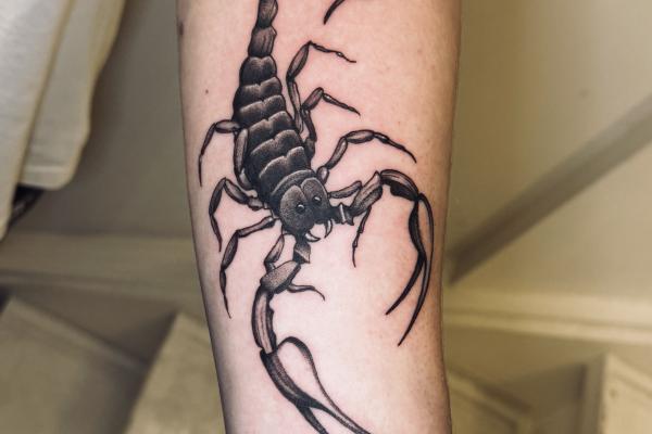Blackwork Scorpion Tattoo