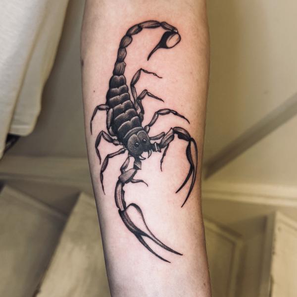 Blackwork Scorpion Tattoo