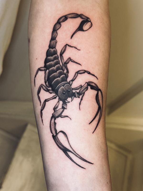 Blackwork Scorpion Tattoo