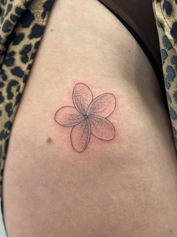 Fineline Tattoo Franjipani