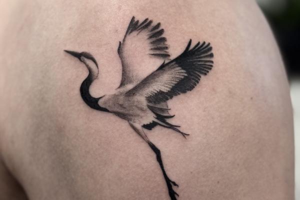Micro-Realistic Crane