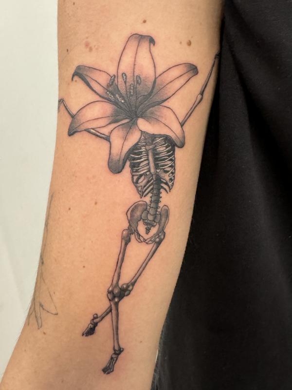 Skelly Flowerhead  Lily