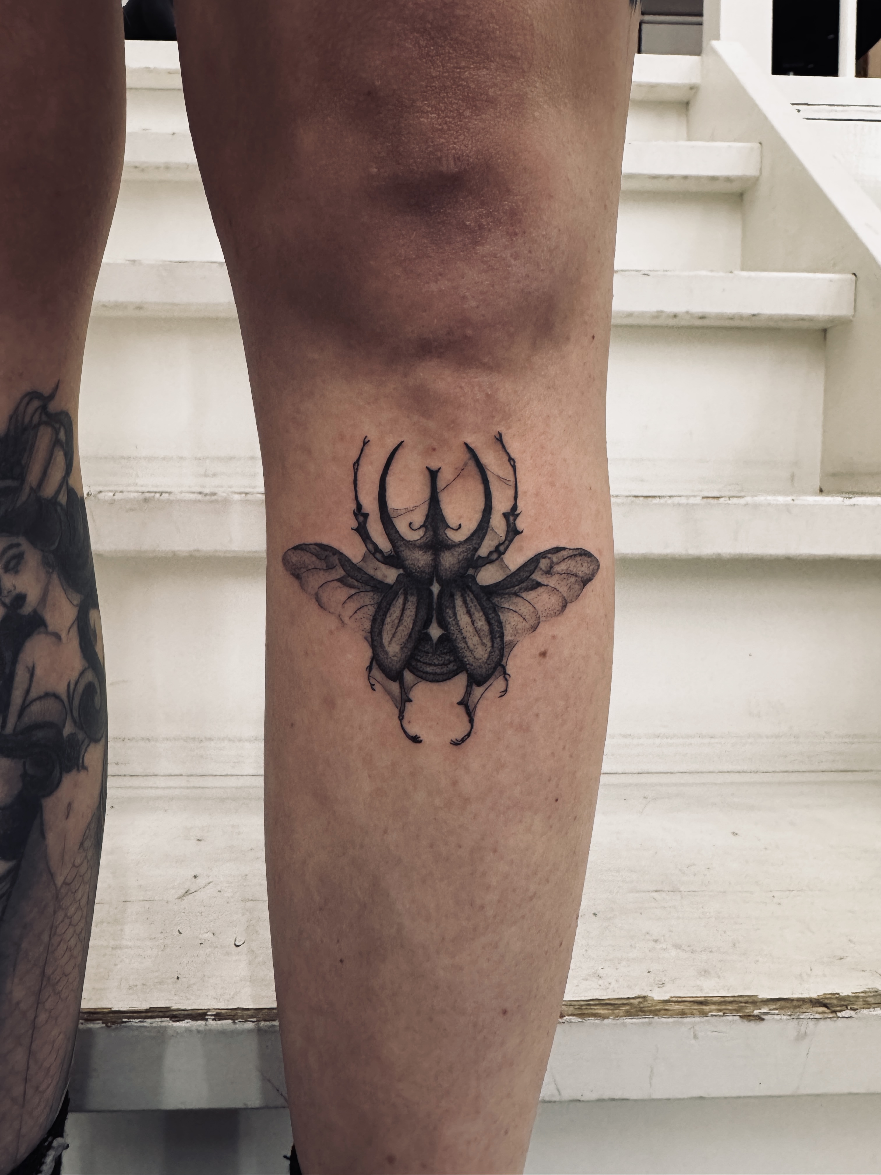 Blackwork Beetle Tattoo