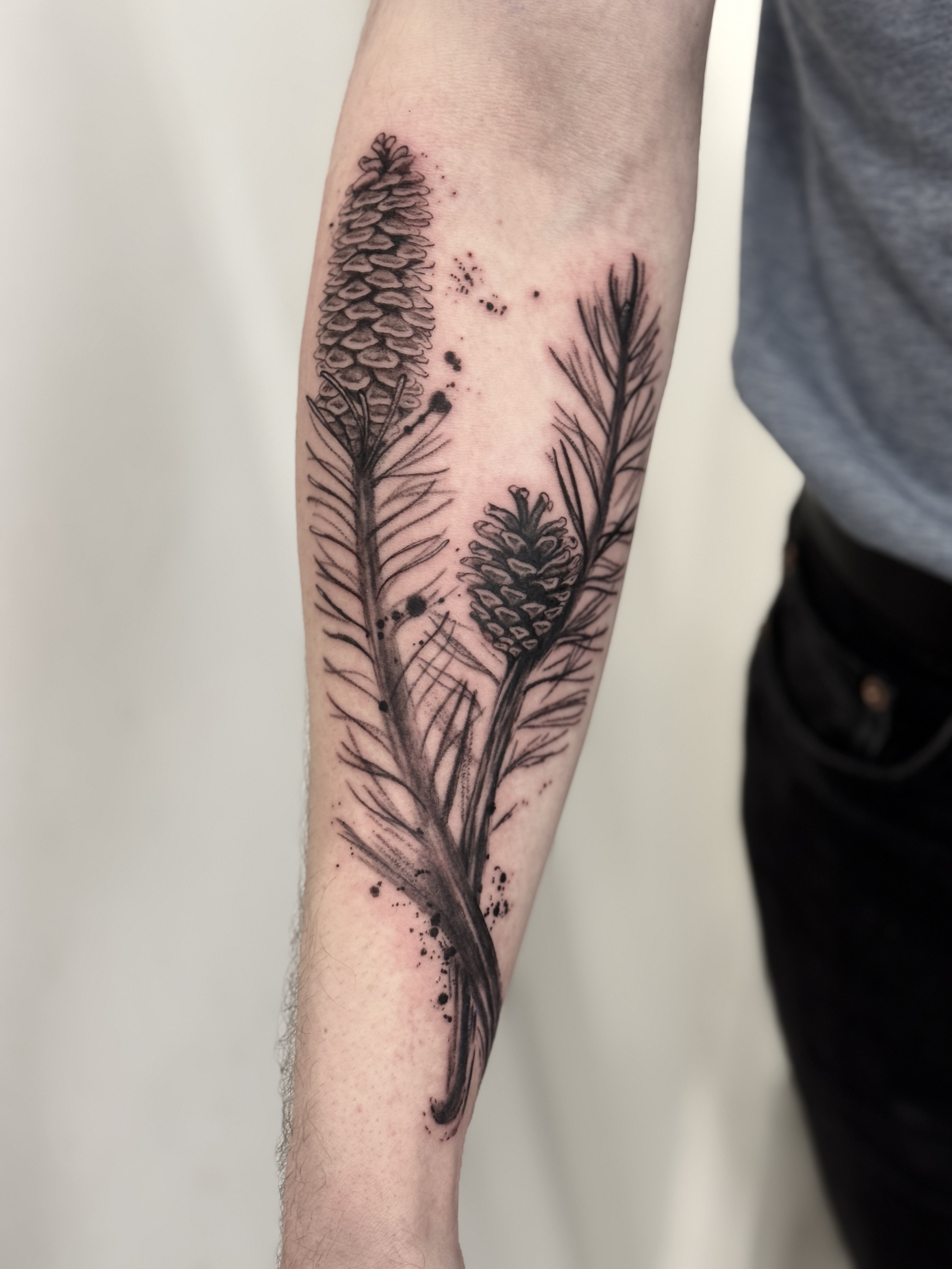 Blackwork Tattoo Pine and Spruce 1