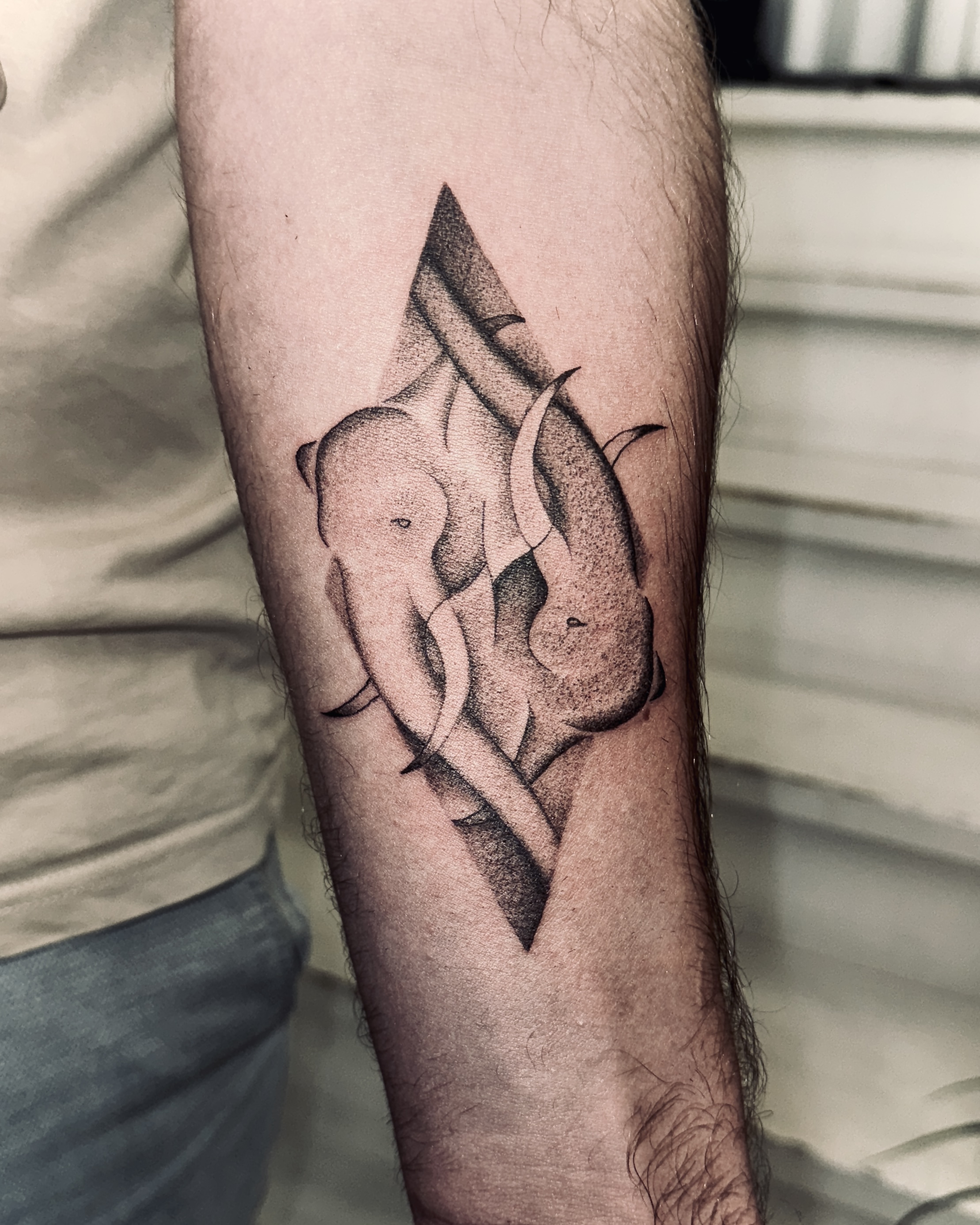 Blackwork Elephant tattoo