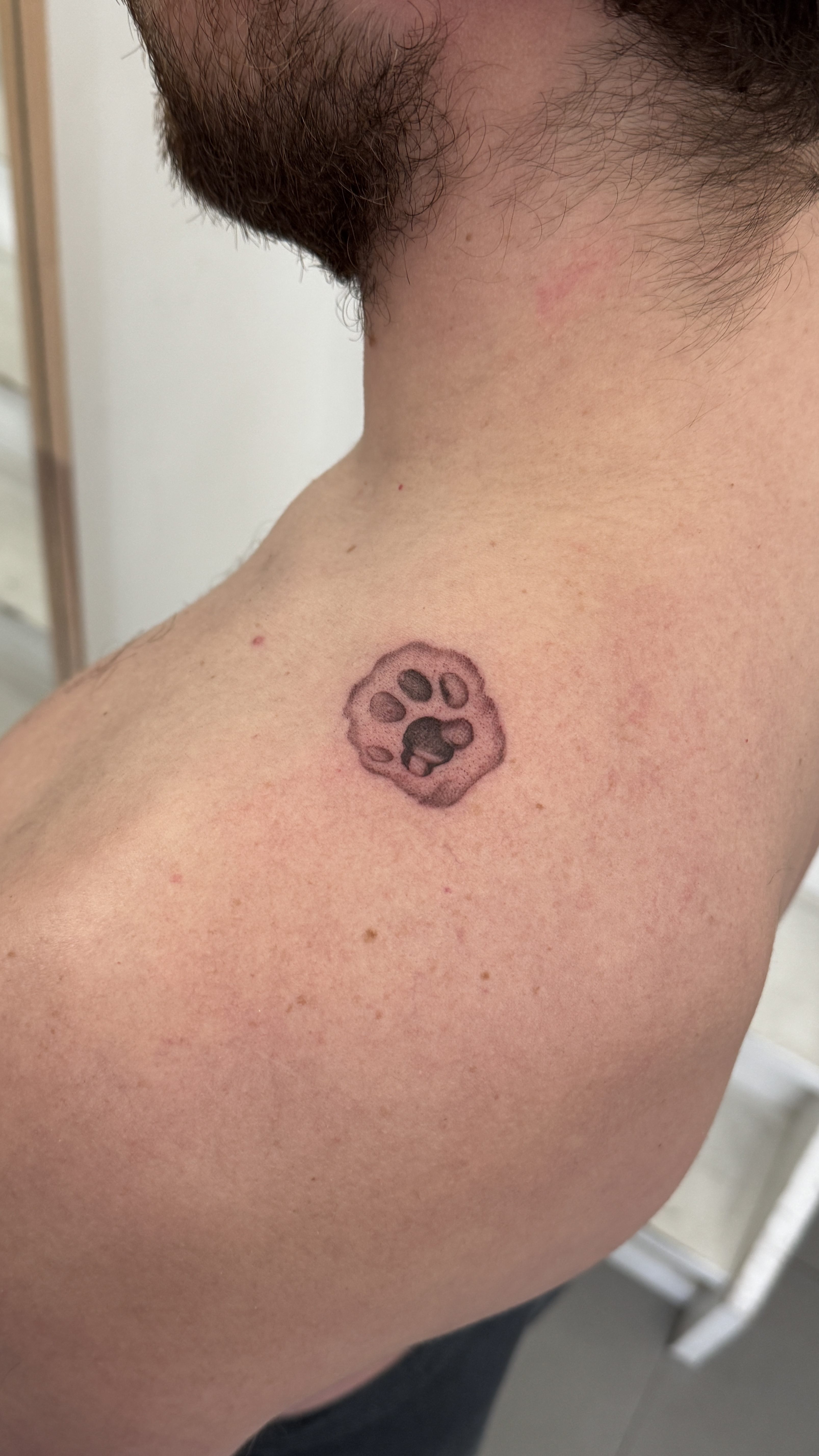 Fineline Tattoo Cat Paw