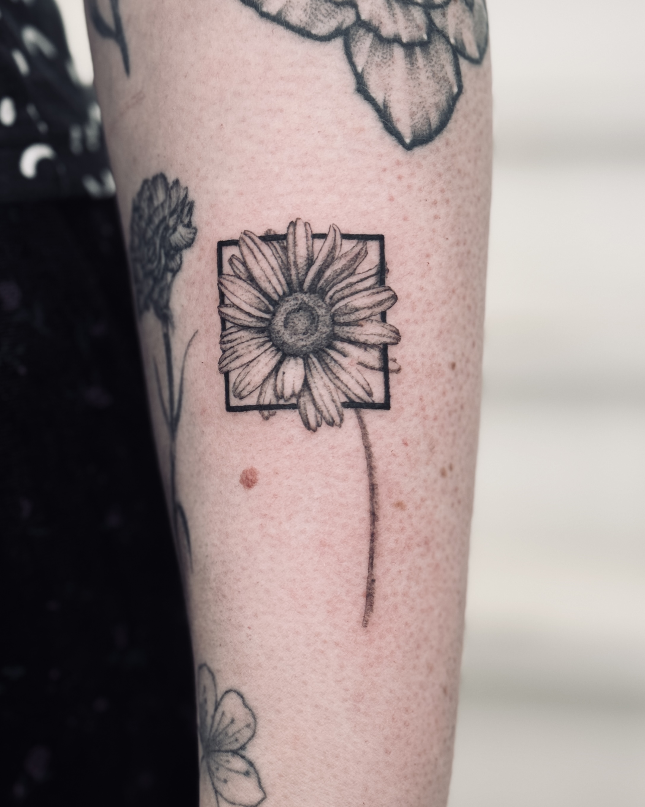 Fineline Daisy Tattoo With Abstract Square