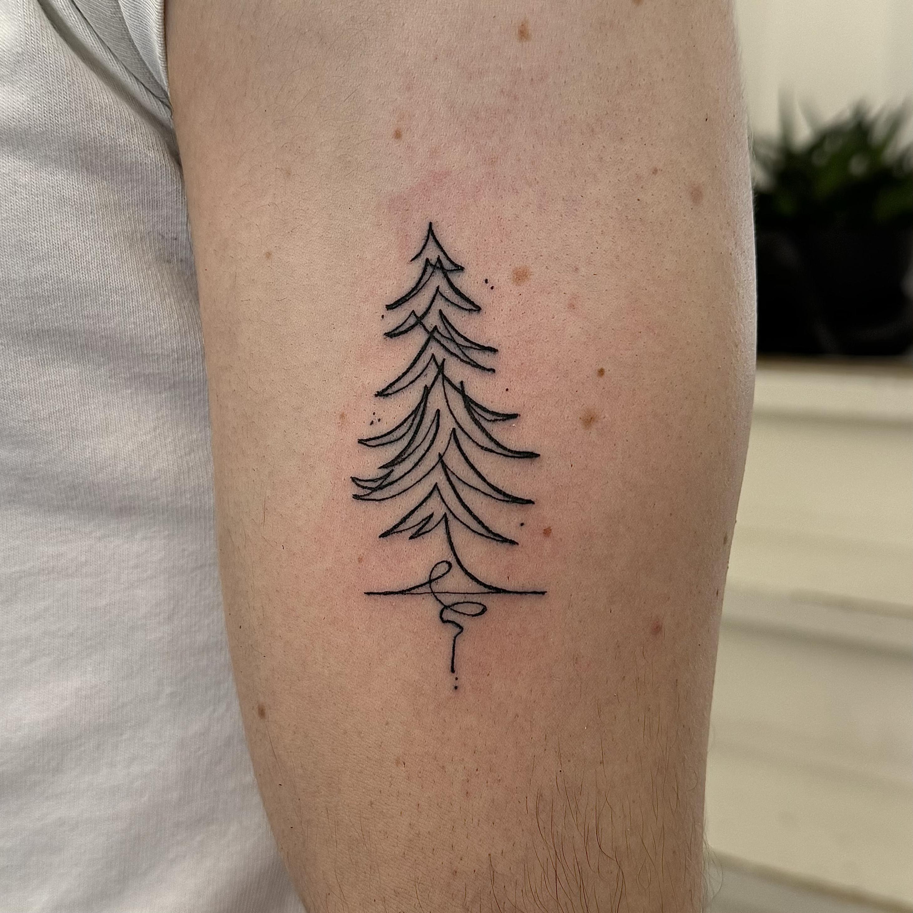 Fineline Single Line Tattoo Pine Tree