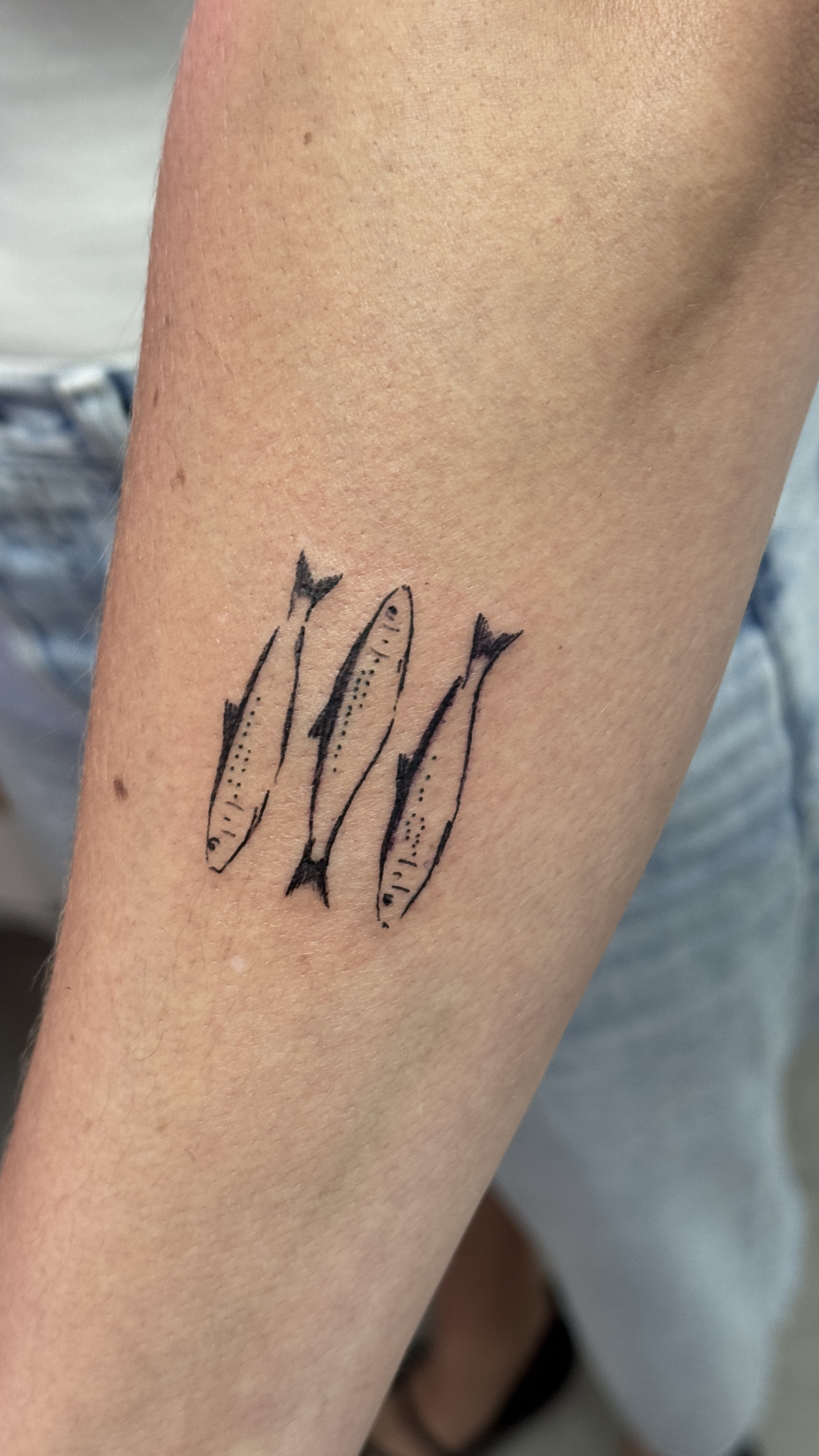 Fineline Tattoo Herring