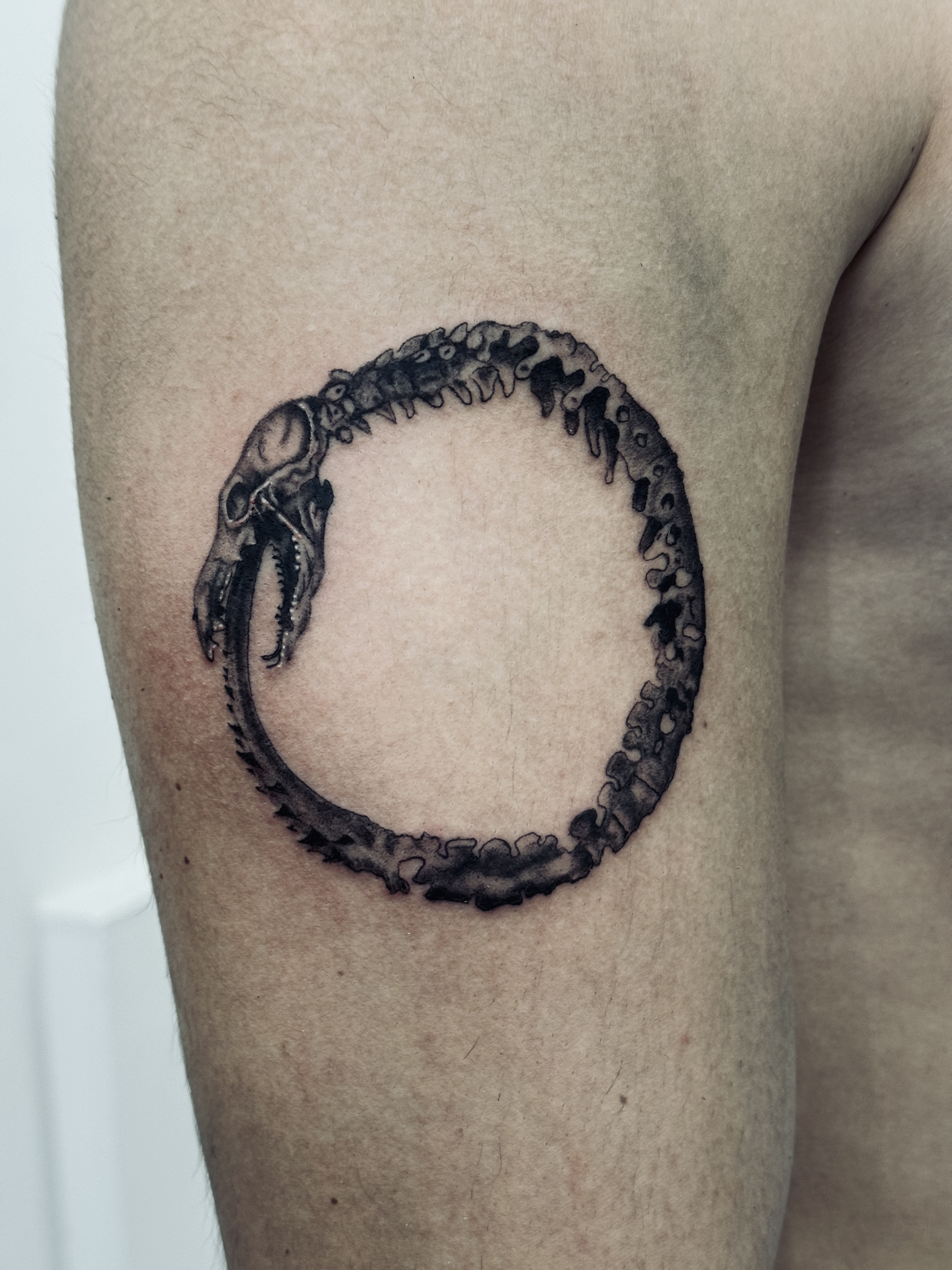 Micro-realistic Ouroboros