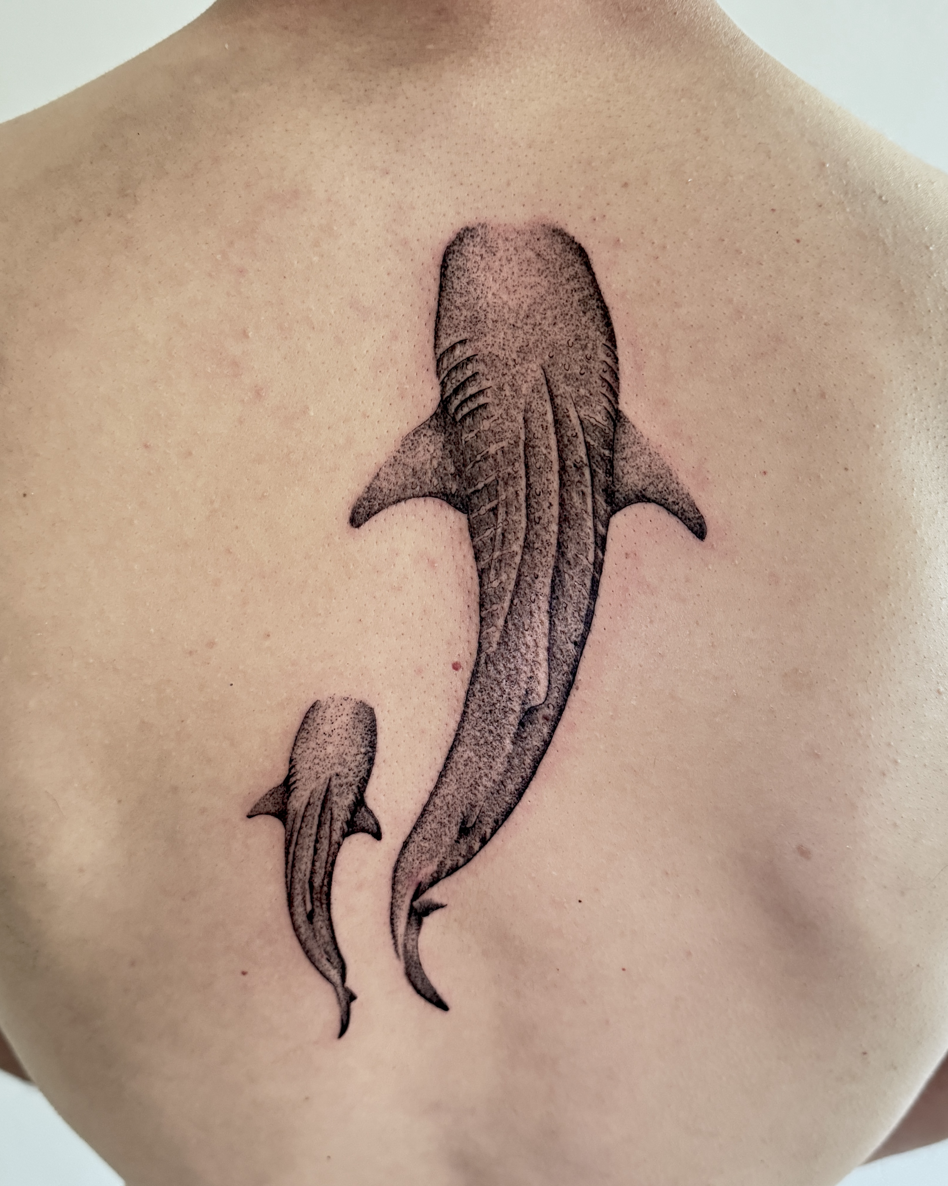 Microrealism Tattoo Whale Sharks