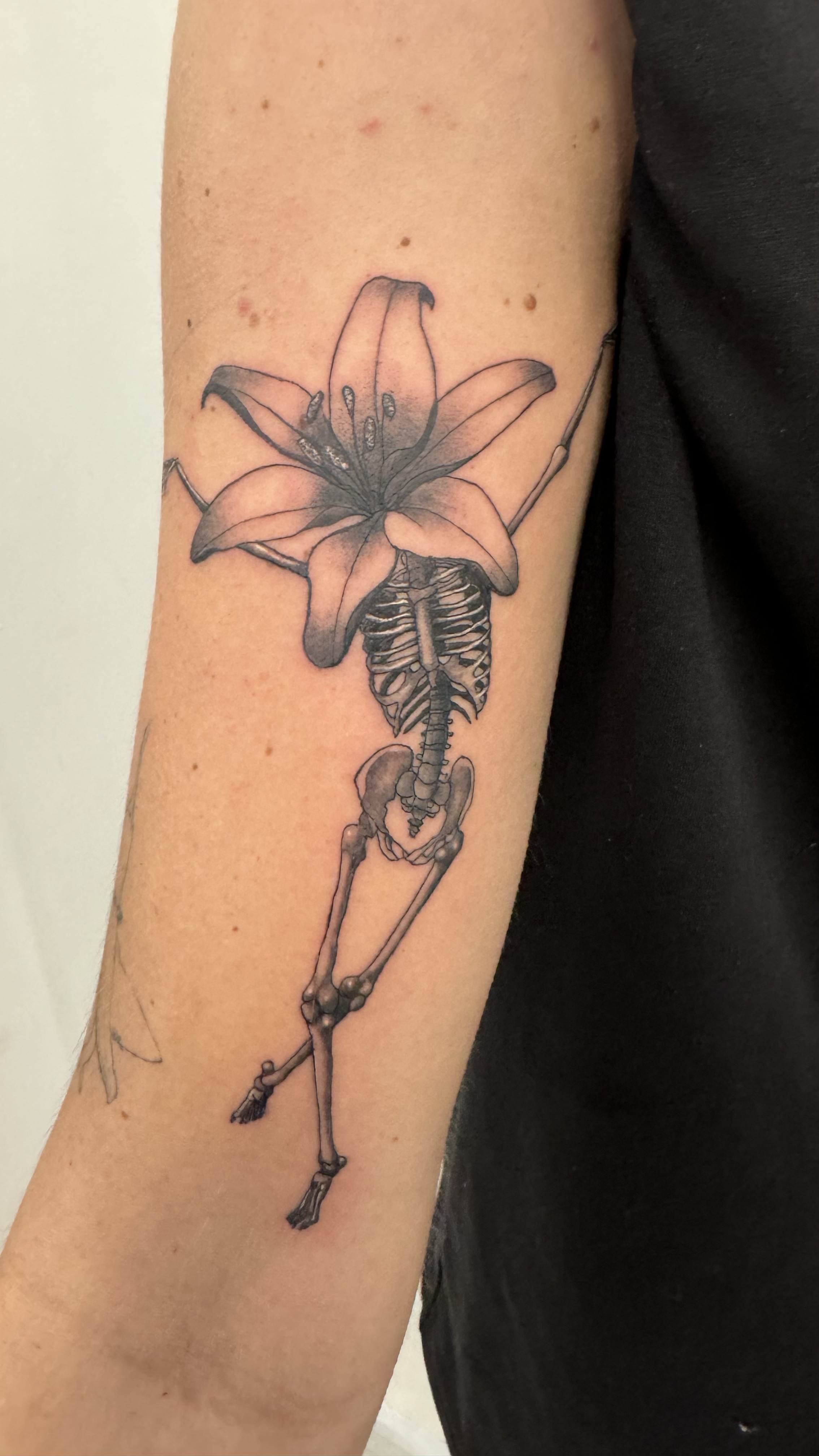 Skelly Flowerhead  Lily